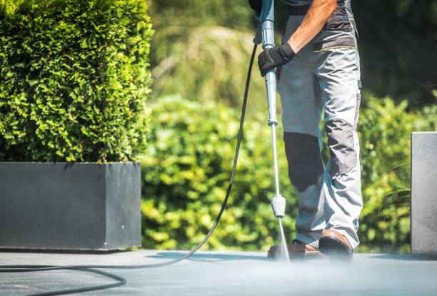 Best Driveway Pressure Washing  in West Park, FL