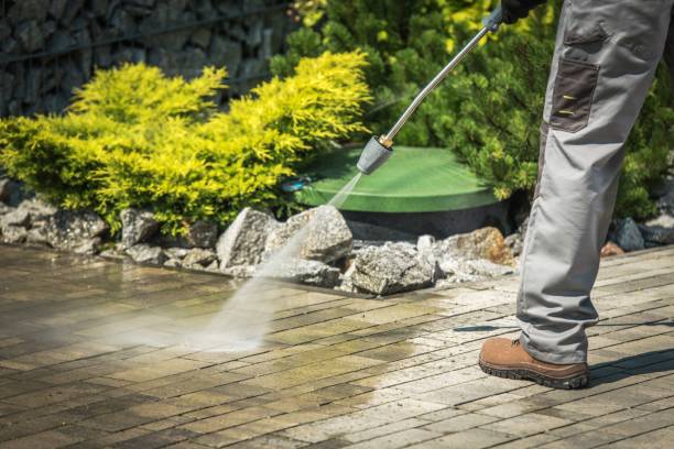 Trusted West Park, FL Pressure Washing Services Experts