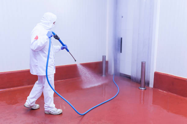 Best Winterizing Services  in West Park, FL